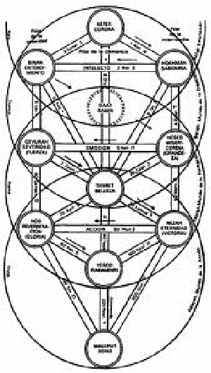 La Obra "De Auditu Kabbalistico", atribuida al Bto. Ramon Llull (Ebook Gratuito)